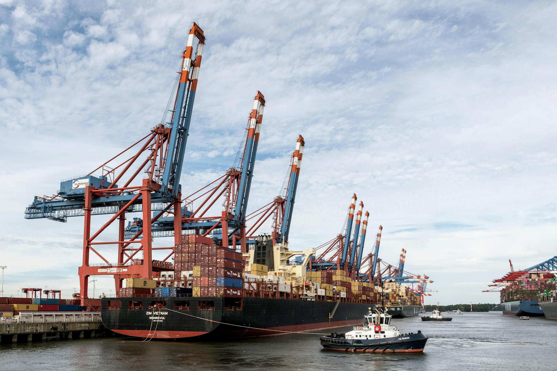 Vibrant port scene with container ships and cranes in action, Hamburg, Germany.