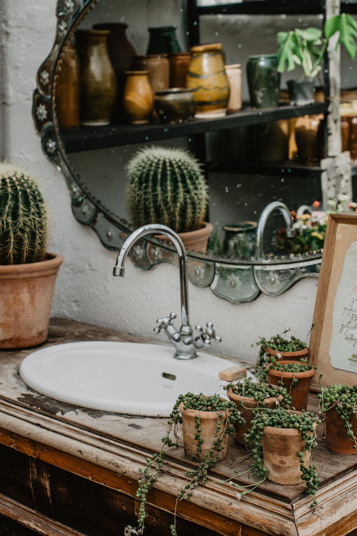 Cozy rustic bathroom setting with cacti and greenery, featuring vintage decor and elegant touches. Stock Photo.
