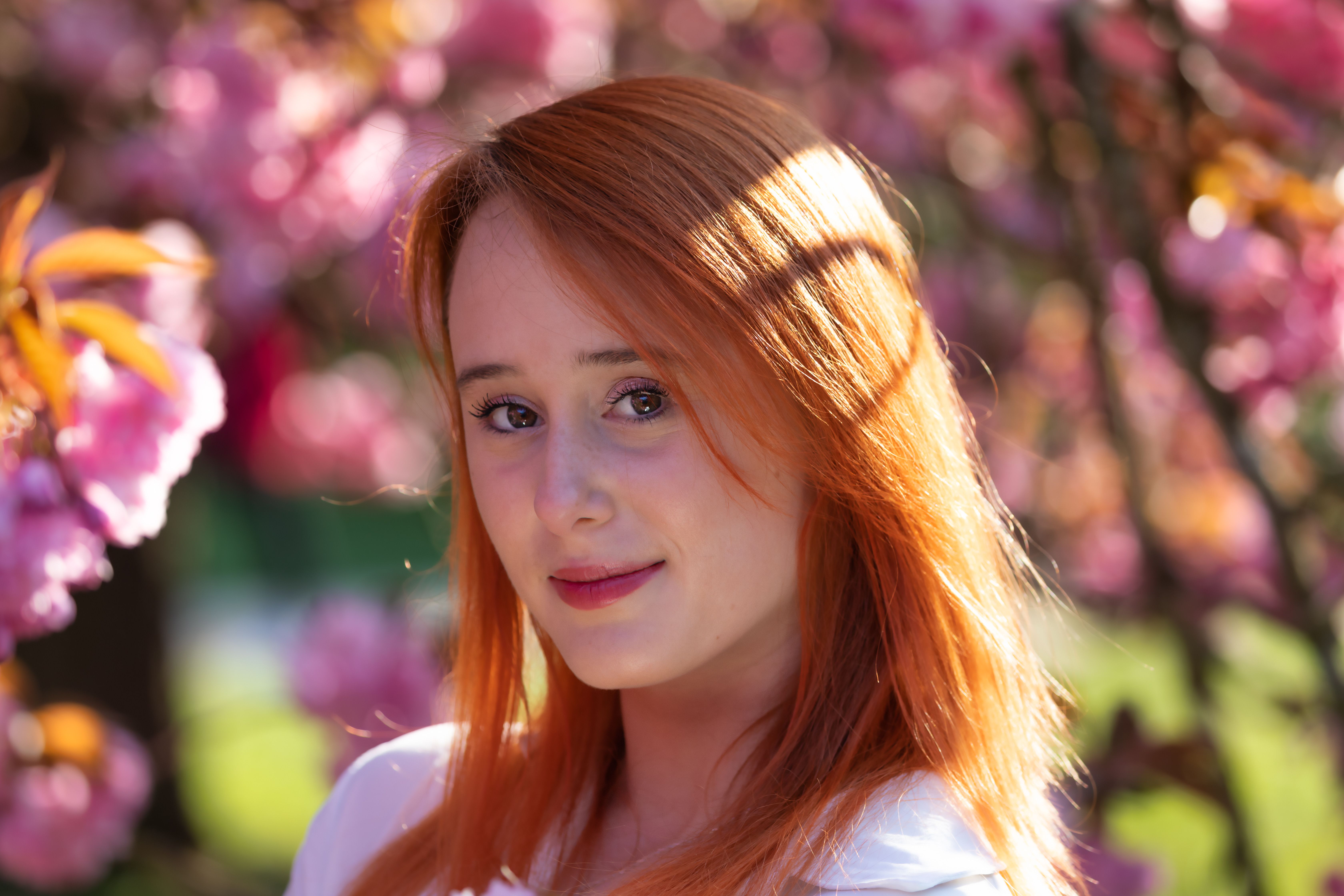 Portrait of Woman with Cherry Blossoms in Paris · Free Stock Photo