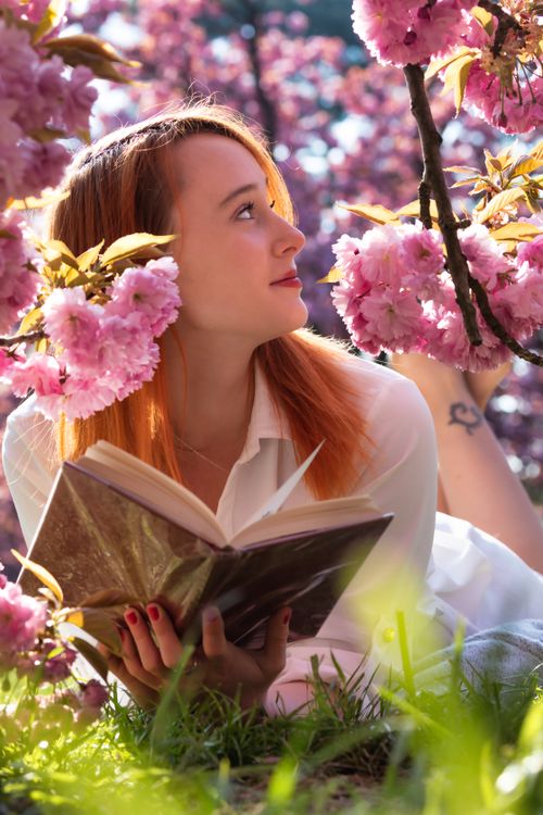 Free A woman relaxes under cherry blossoms, enjoying a book in a vibrant spring setting. Stock Photo