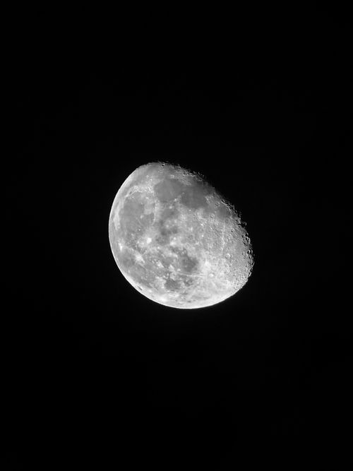 Free Detailed black and white photo of the moon against a dark night sky displaying a waxing gibbous phase. Stock Photo