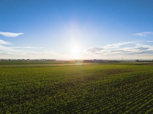 Free A scenic aerial view of open farmland under a clear sunrise sky, showcasing agricultural landscapes. Stock Photo