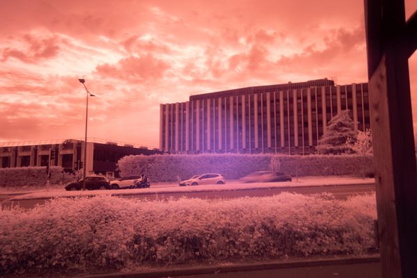 Pinky World