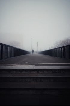 雾气弥漫的人行桥上，一个独自前行的剪影，营造出喜怒无常的氛围
