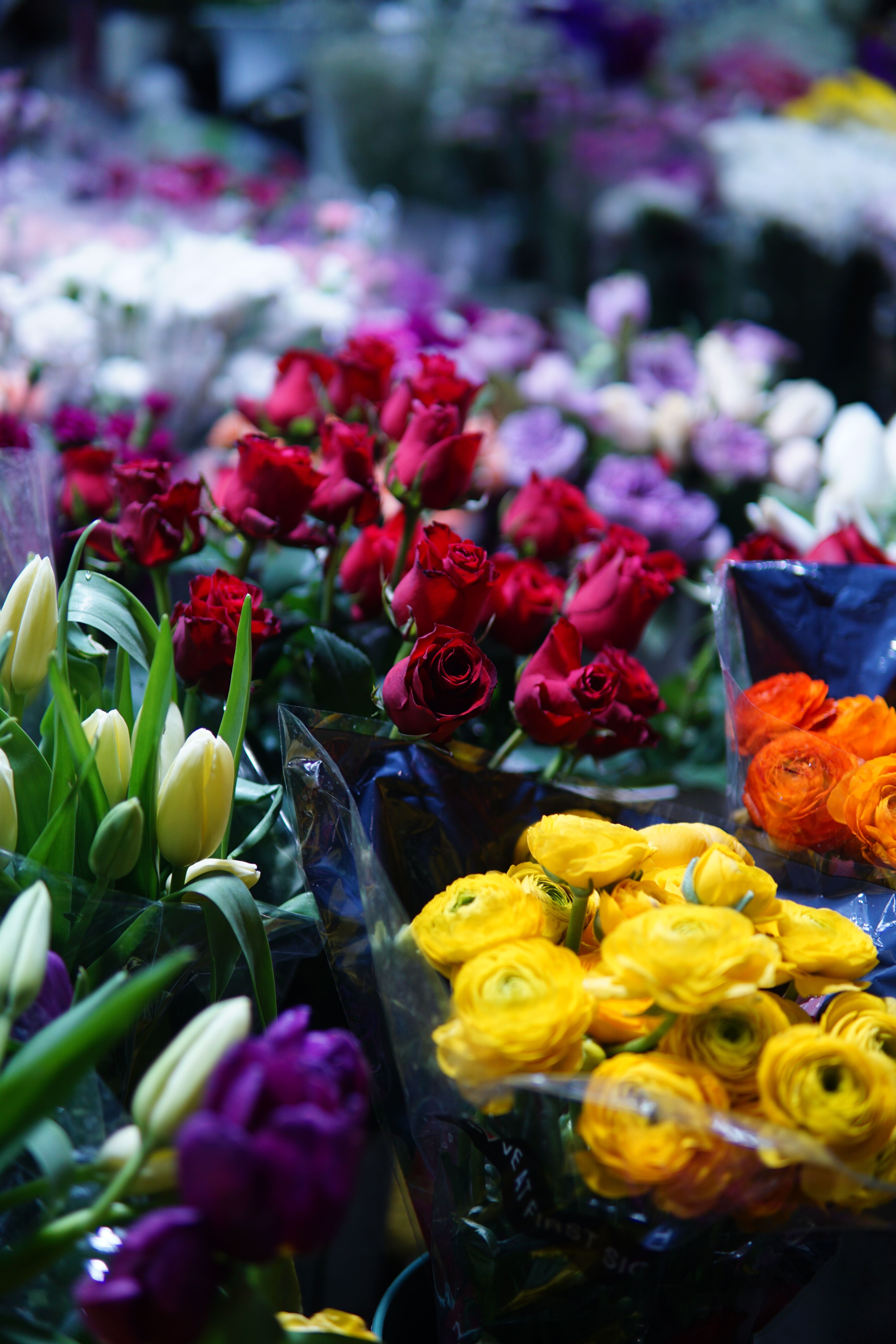 [ColoSach]-brightly-colored-flower-bouquets-in-a-vibrant-market-setting,-showcasing-nature's-beauty.