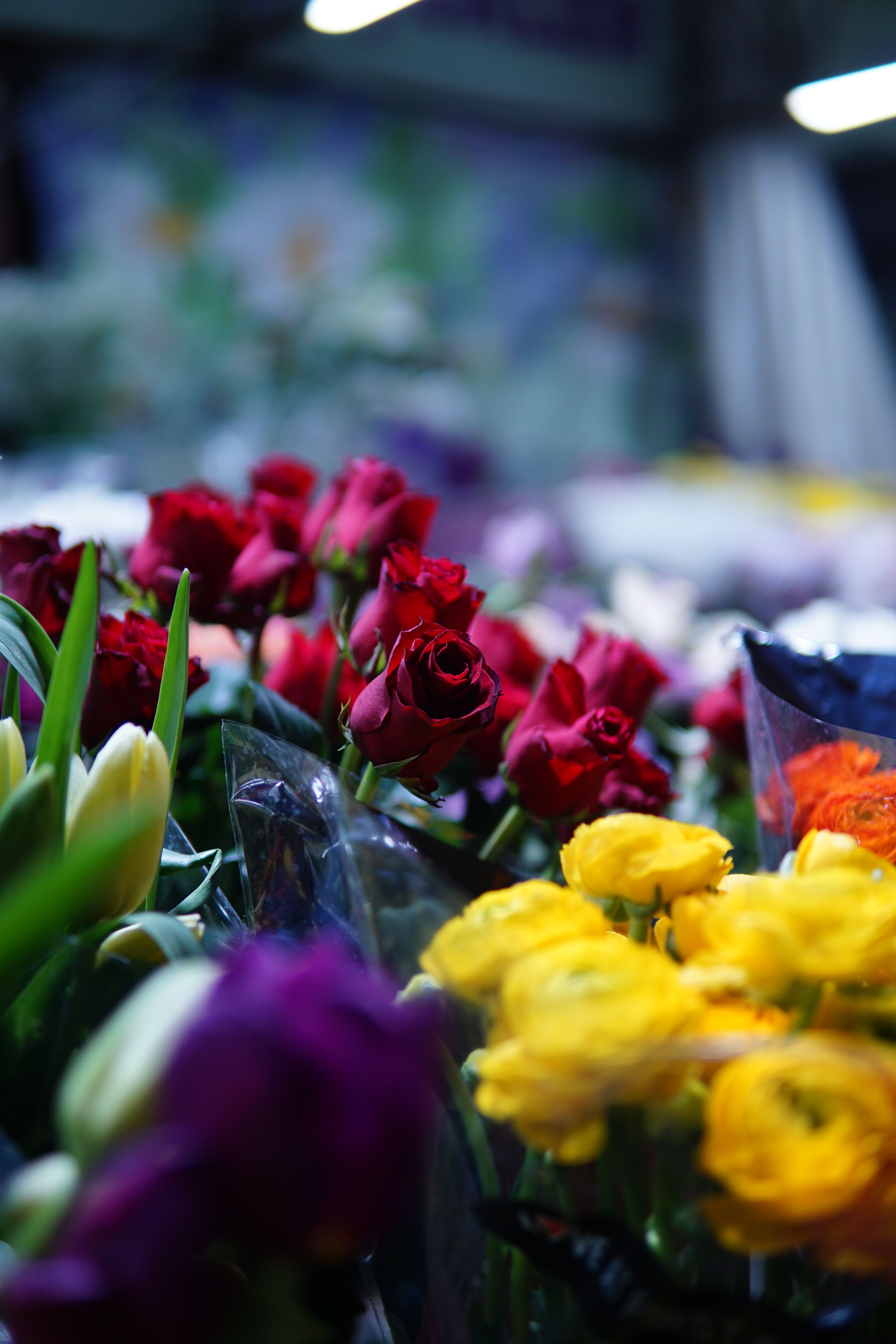 [ColoSach]-colorful-flowers-including-roses-and-tulips-at-a-market-stall,-perfect-for-vibrant-decor.