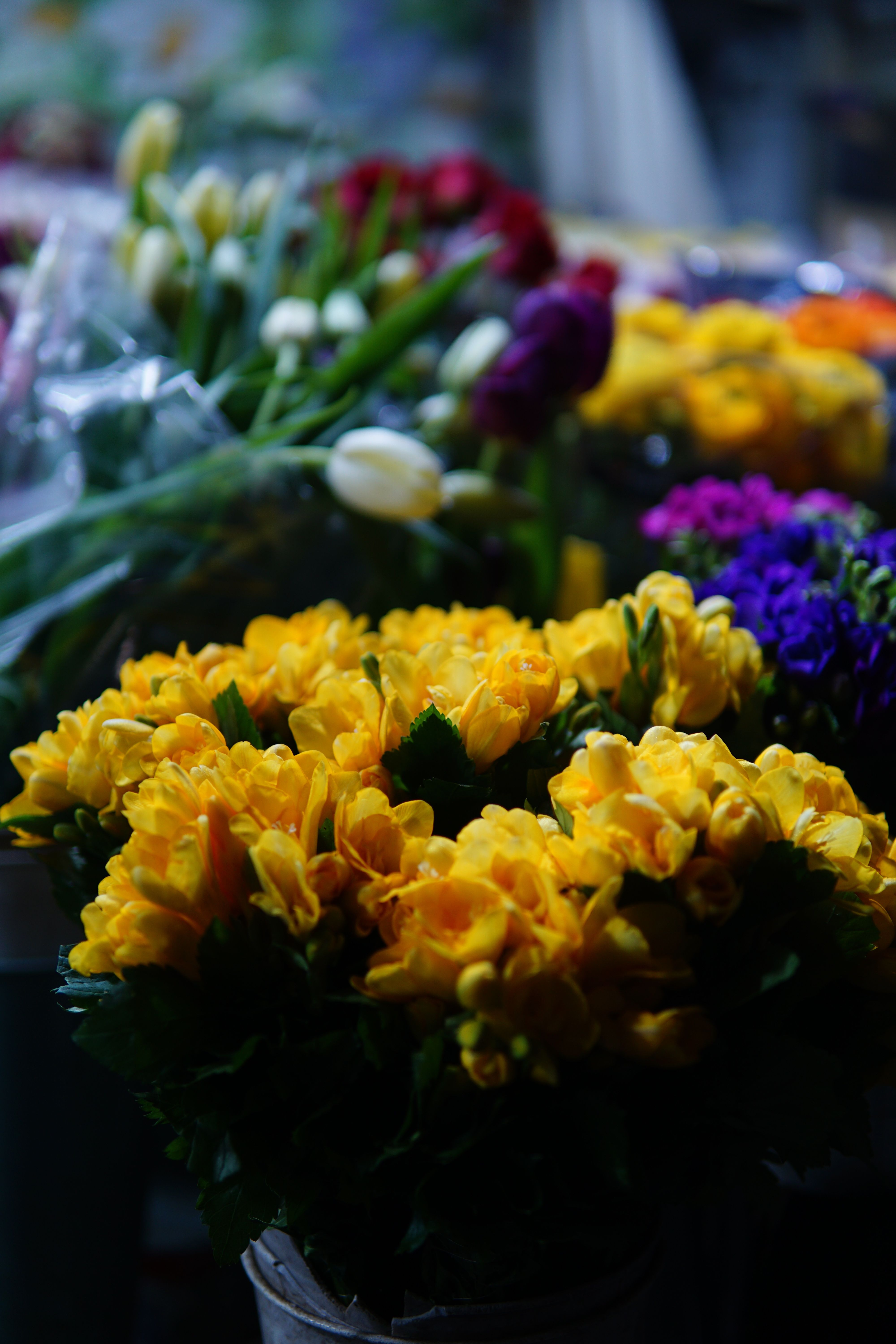 [ColoSach]-colorful-flower-bouquets-on-display-at-a-bustling-market,-showcasing-nature's-beauty.