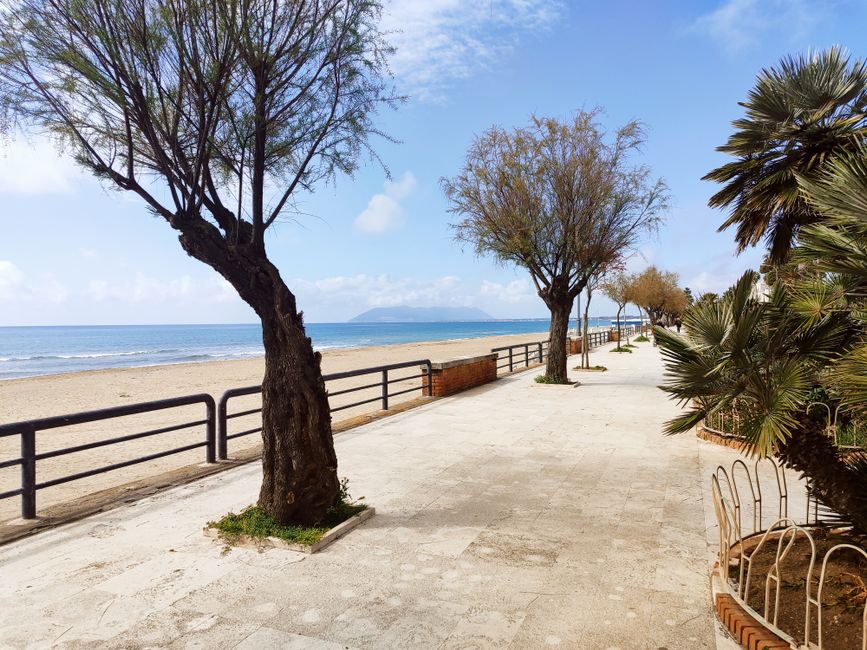 Tranquil beach promenade lined with palm trees under blue sky, offering a picturesque coastal view.