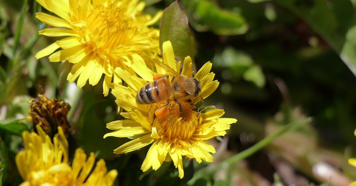 【彭部長有話說】綠色生活低碳飲食研討會開場演說精彩回顧