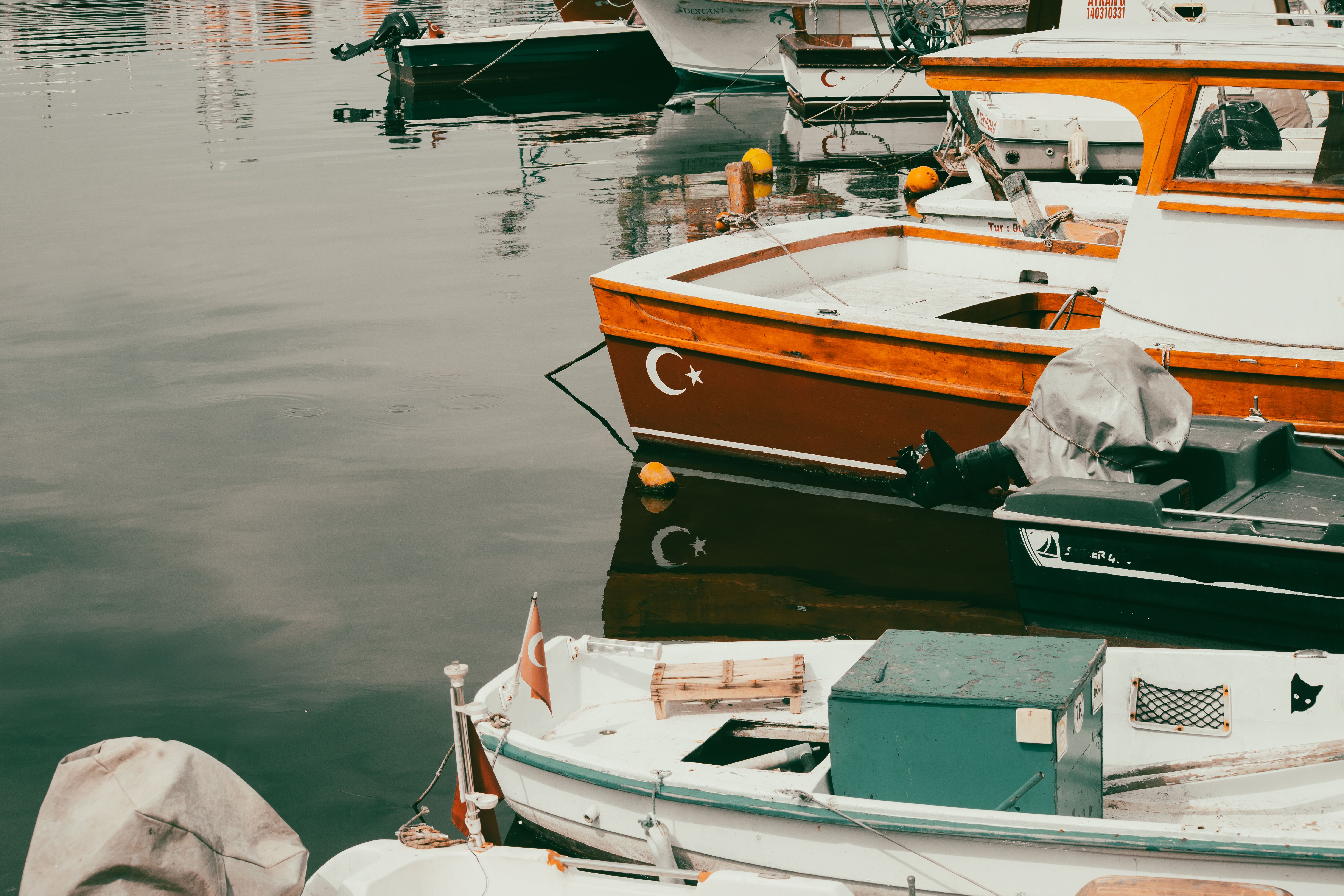 Colorful Fishing Boats in Istanbul Harbor · Free Stock Photo