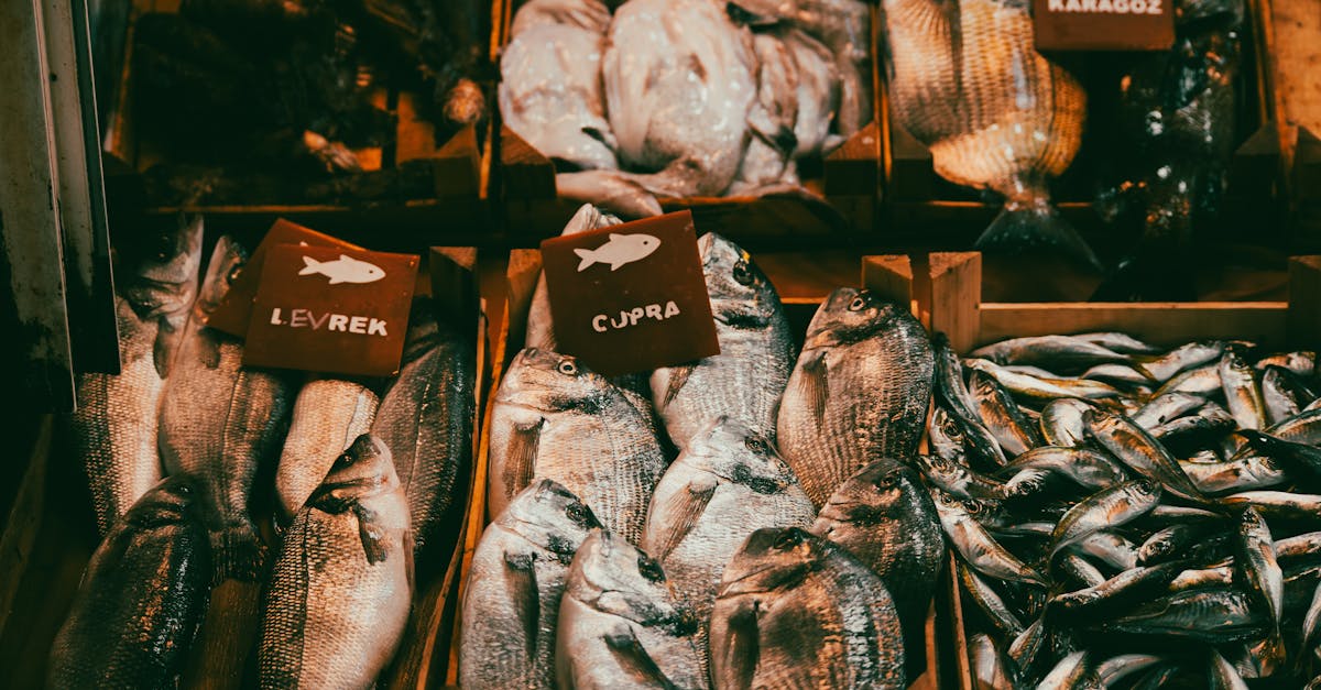 L'impact des saisons sur la disponibilité des poissons frais