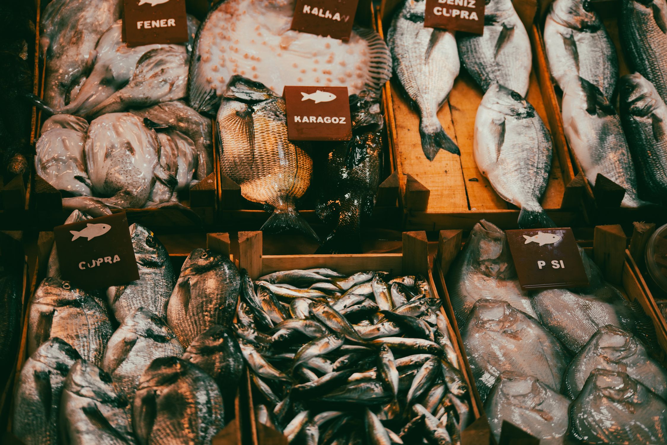 Fresh Fish Display at an Outdoor Market · Free Stock Photo