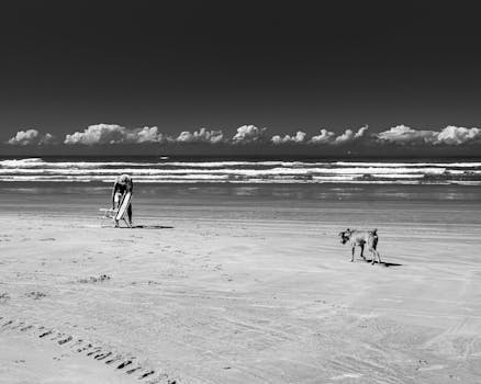 Serene black and white beach scene with a solitary figure and dog at Praia Grande, Brazil.