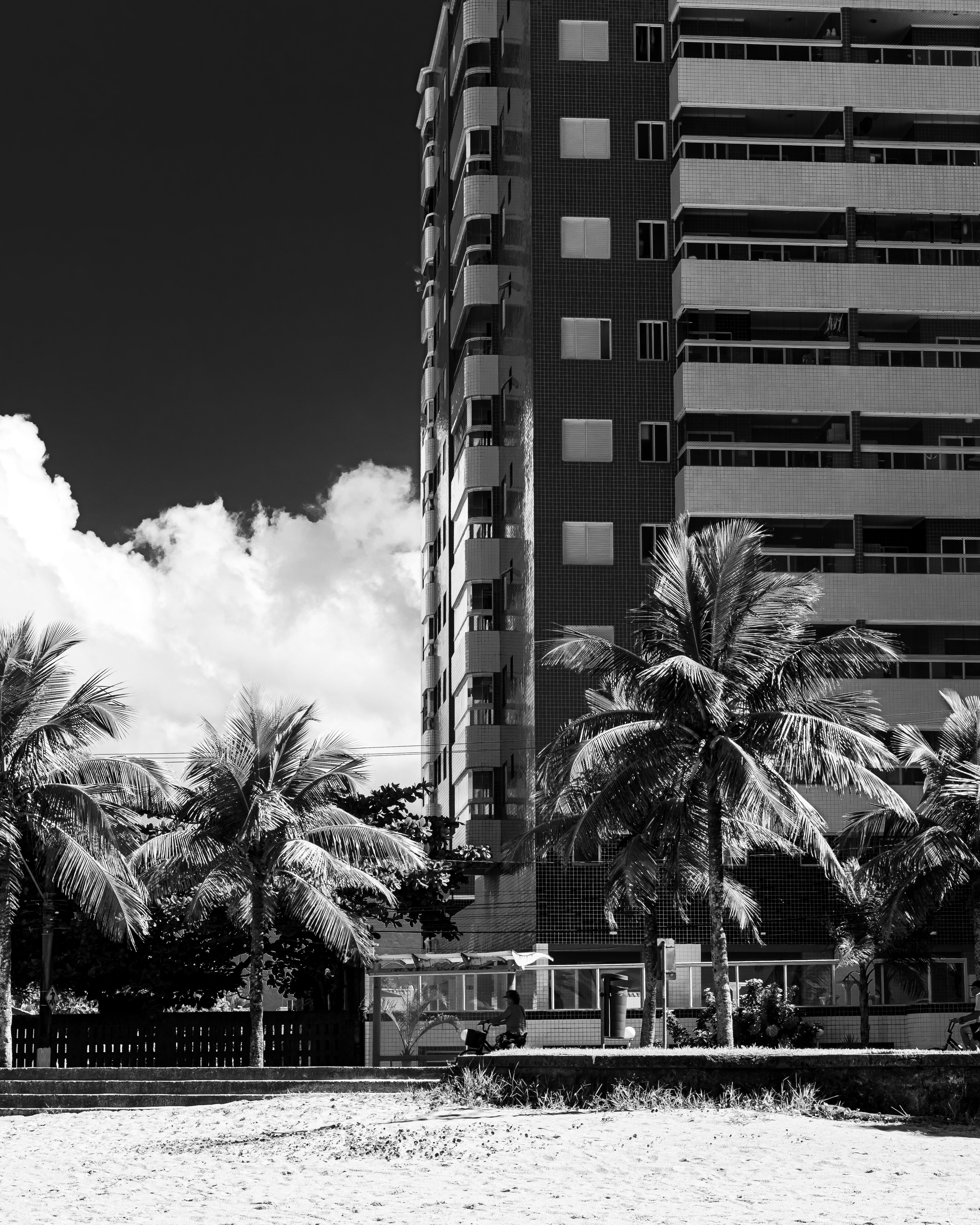 Stunning monochrome view of beachfront building and palm trees in Praia Grande, Brazil.