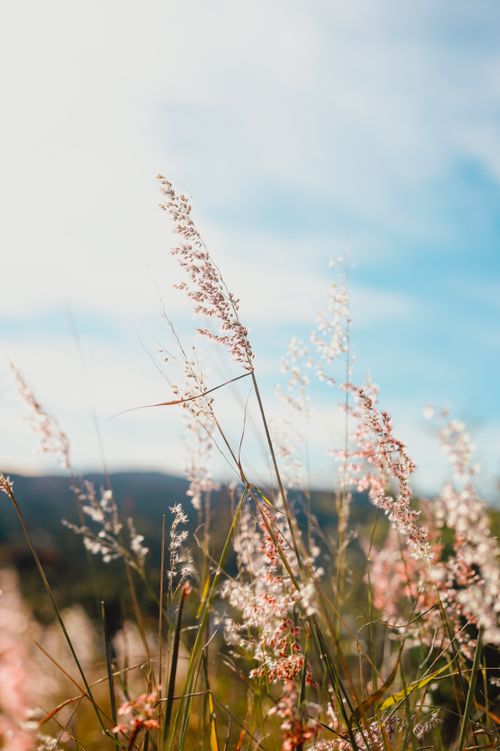 Free wallpaper Stock Photo