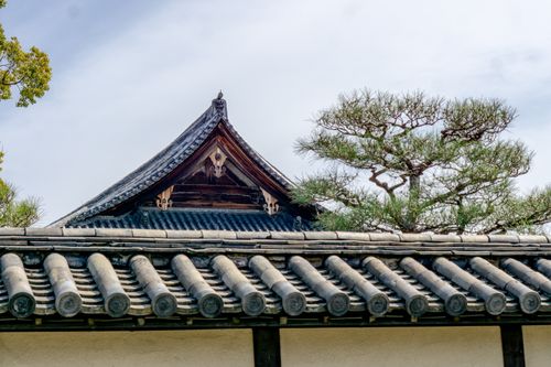 Free A serene view of a traditional Japanese roof next to a lush pine tree, under a clear sky. Stock Photo