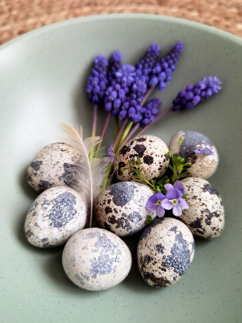 Free A pastel green bowl with quail eggs, purple flowers, and a feather creates an artistic composition. Stock Photo