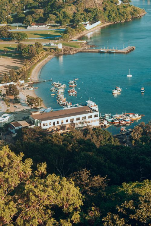 Free Stunning aerial shot of a vibrant coastal town with moored boats and lush greenery. Stock Photo