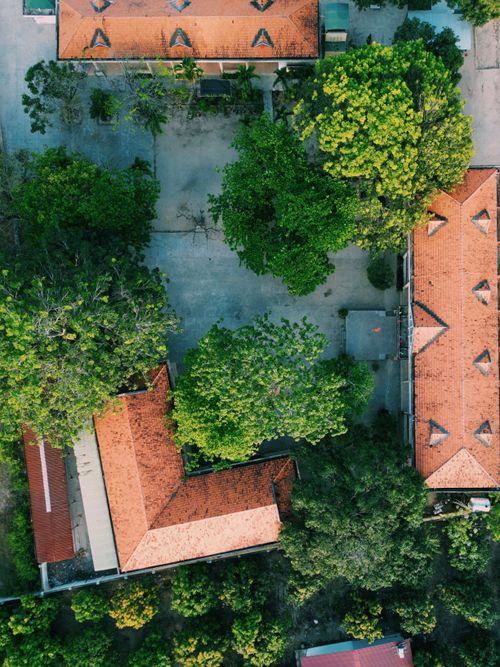 Free Aerial photograph capturing red-roofed buildings surrounded by vibrant green trees. Stock Photo