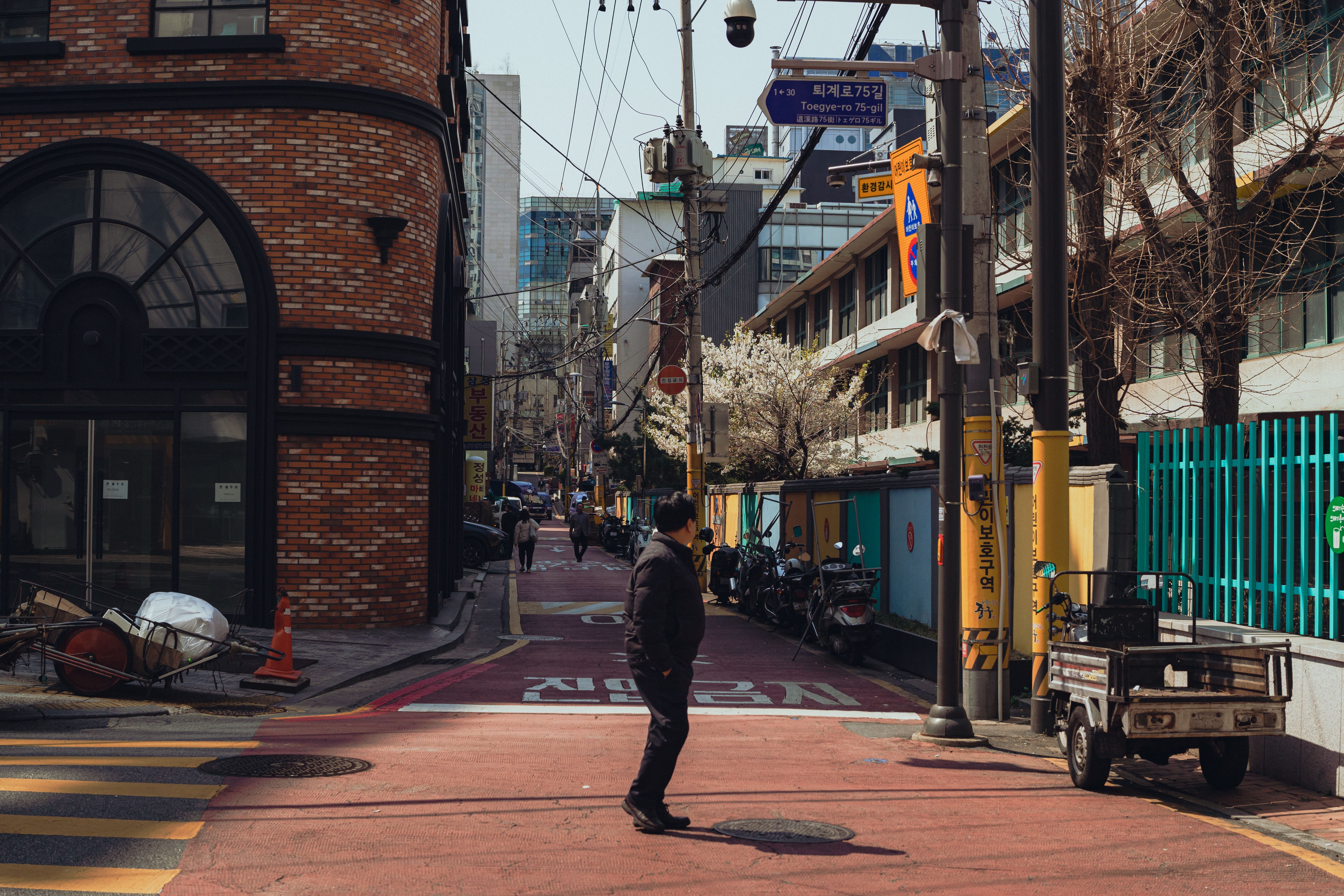 화창한 날 포착한 서울 도심 거리 풍경 · 무료 스톡 사진