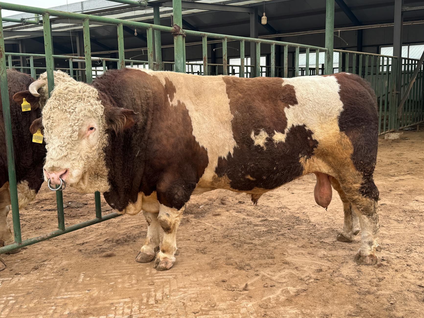 Popular sights in Hereford Landmarks in Hereford