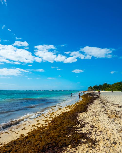 Free Serene beach scene in Mexico with azure waters and blue sky, perfect for relaxation and nature enthusiasts. Stock Photo