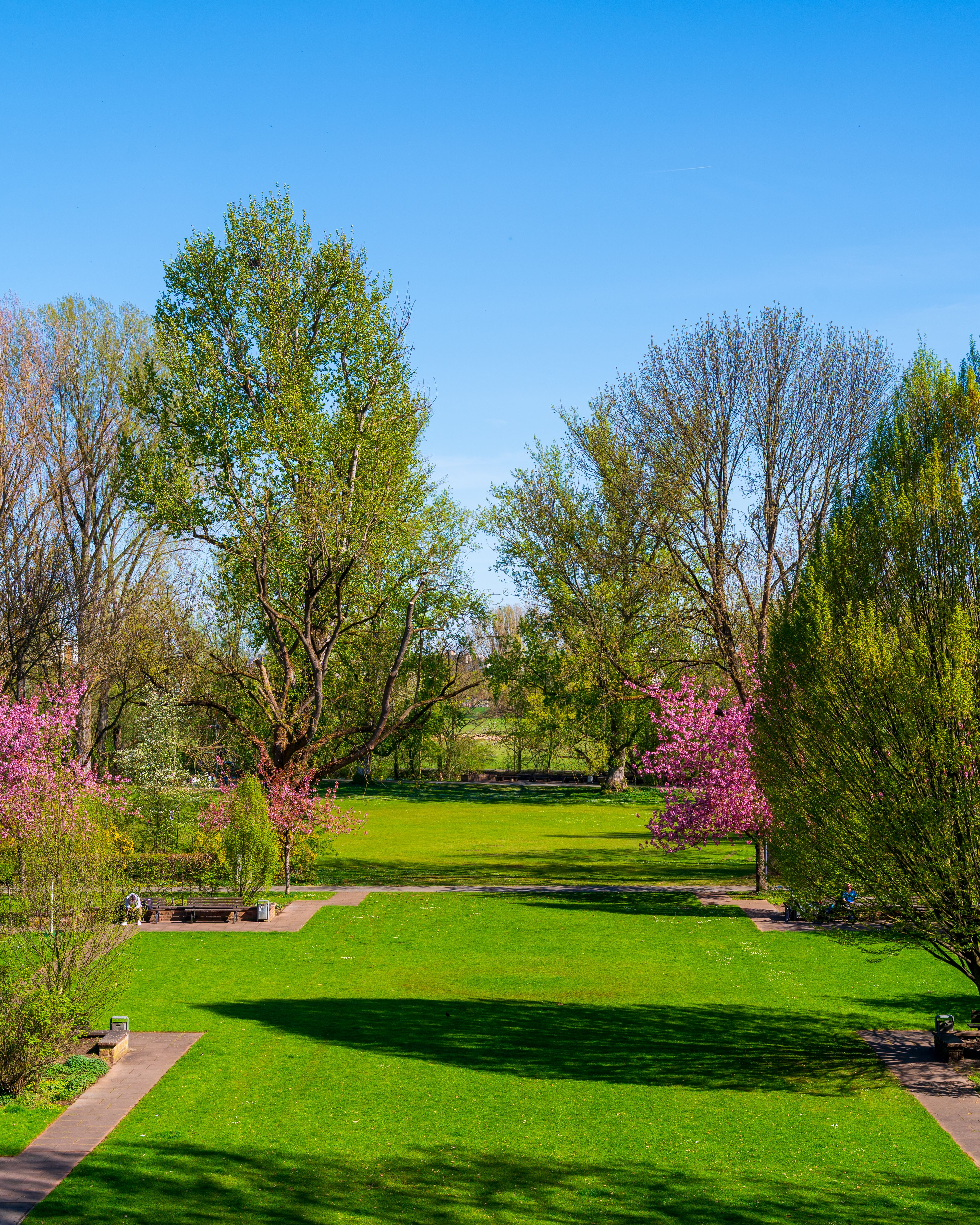 Serene Outdoor Park with Lush Greenery in Spring · Free Stock Photo