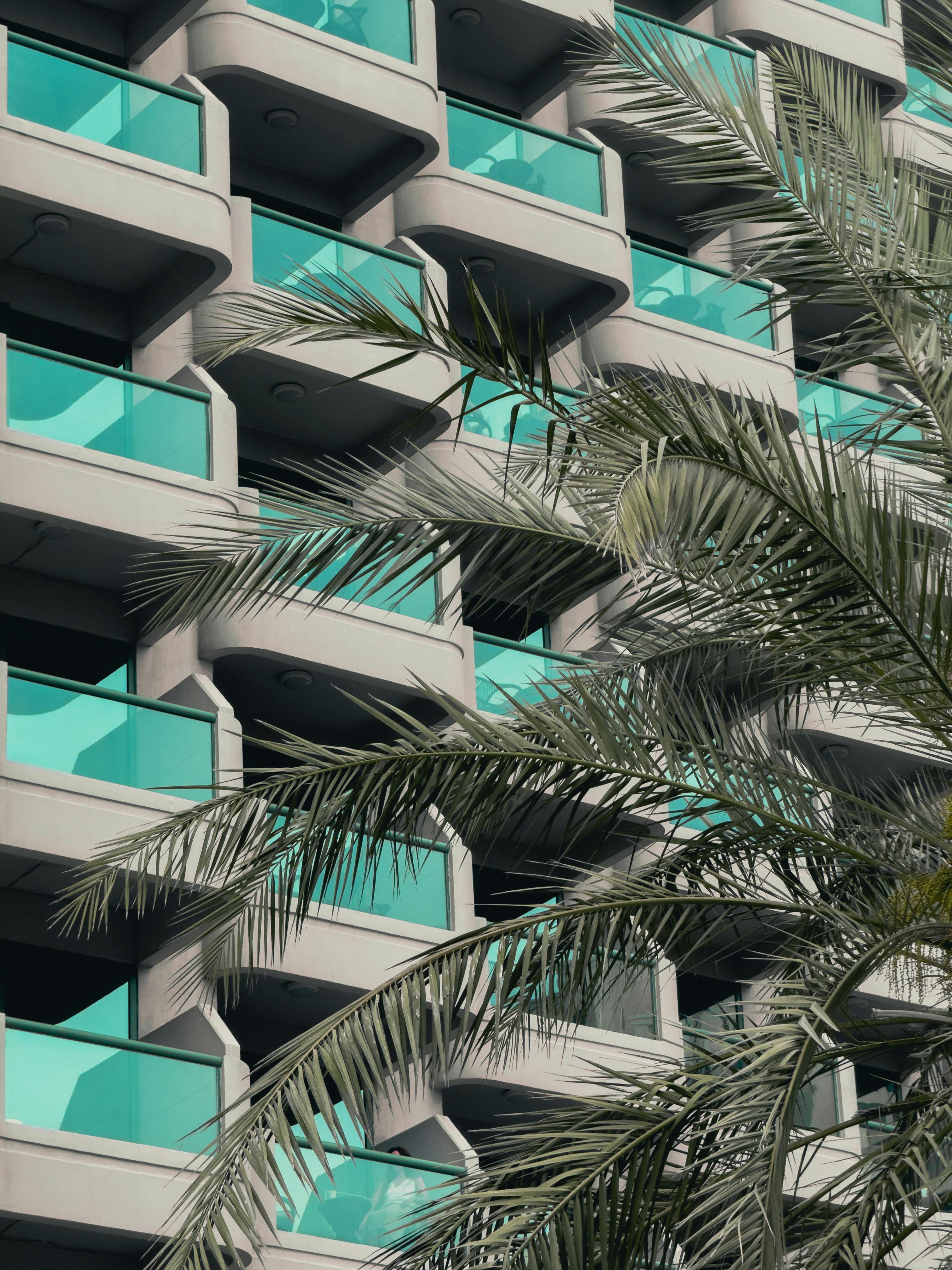 Contemporary urban living with palm trees and a unique architectural design in Dubai.
