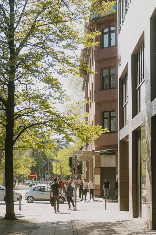 Free A vibrant street in Frankfurt, featuring people and architecture on a sunny day. Stock Photo