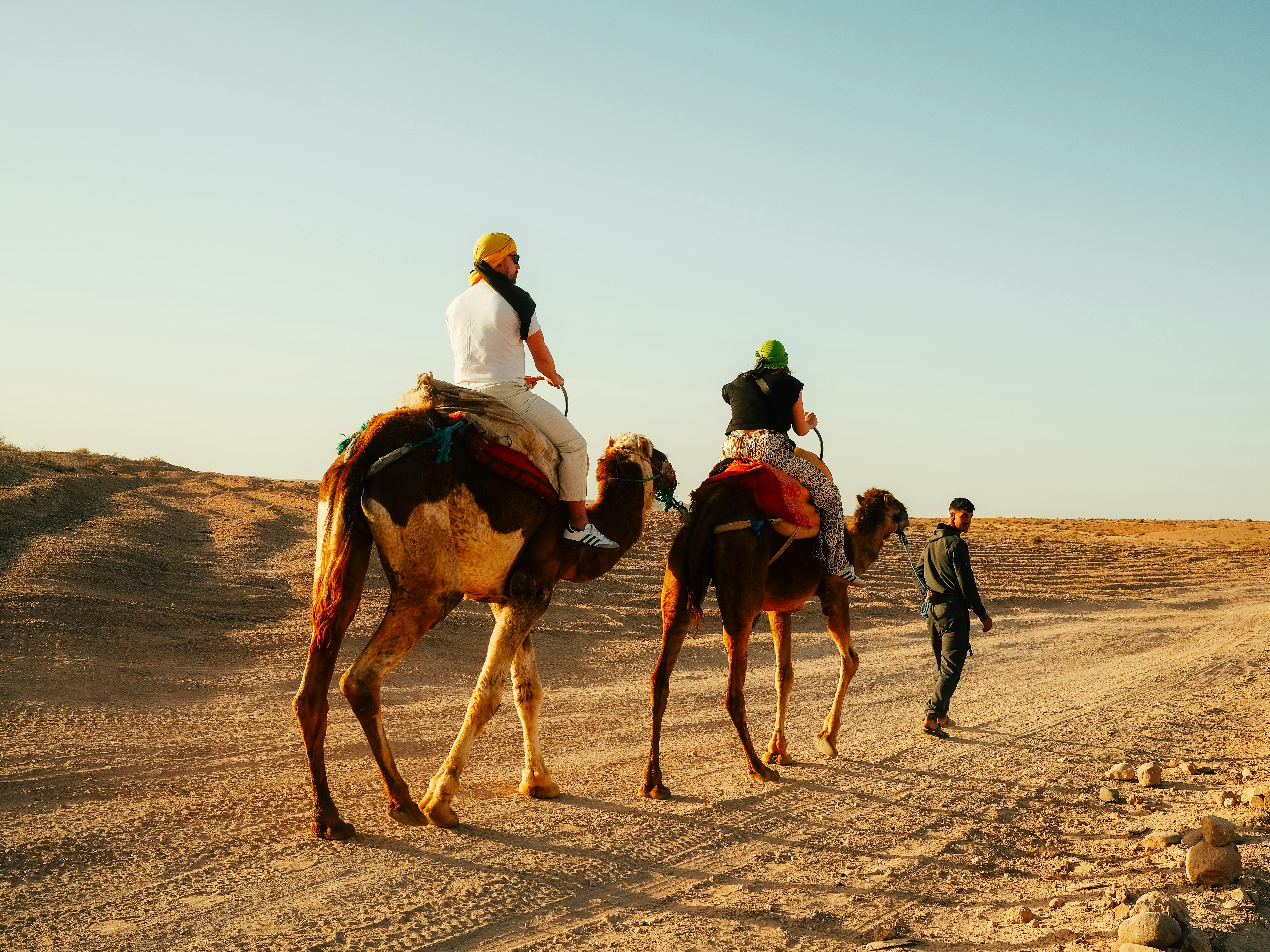 Two tourists riding camels in the vast Moroccan desert under clear blue skies.