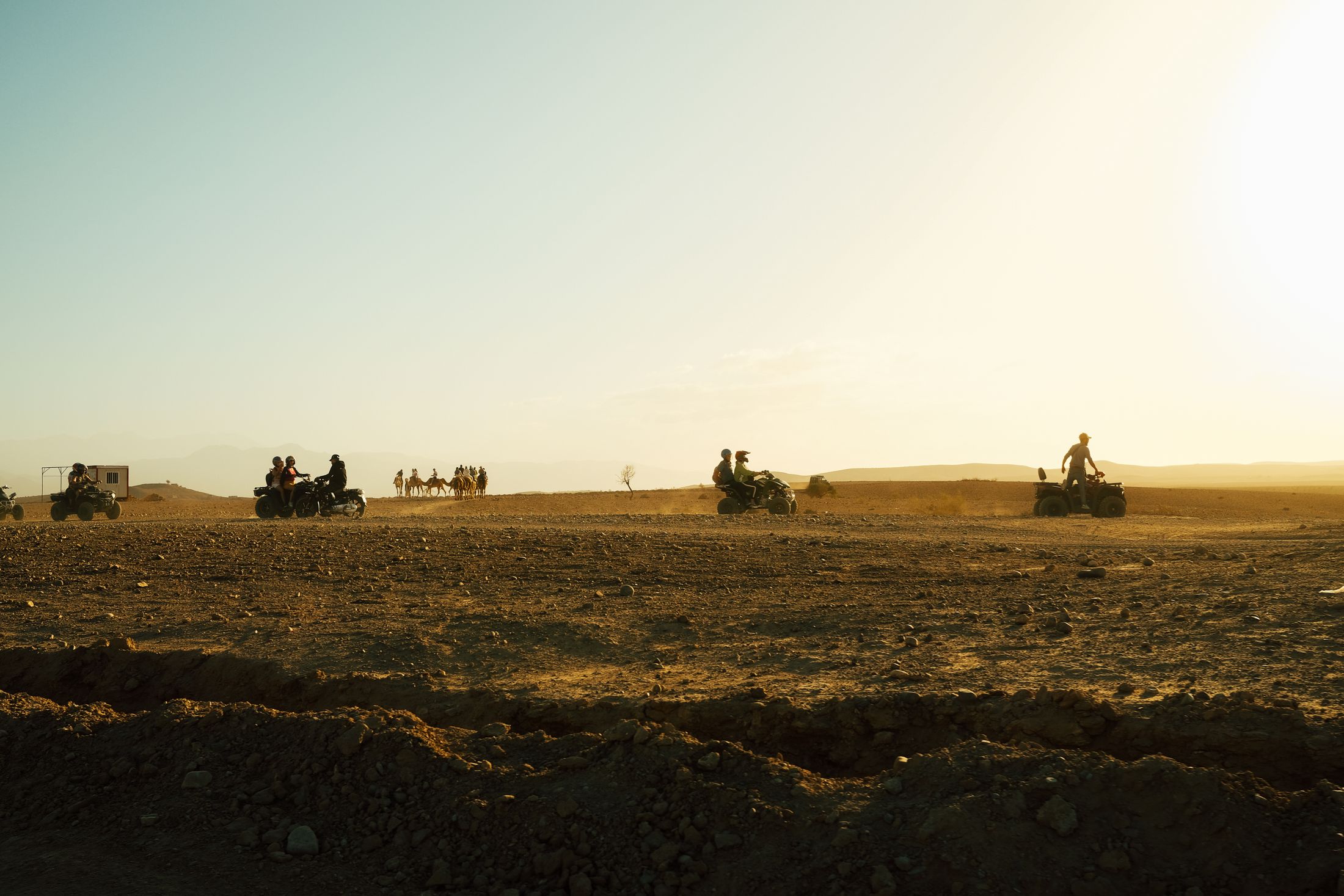 Quad bikes and camels crossing the desert in golden light