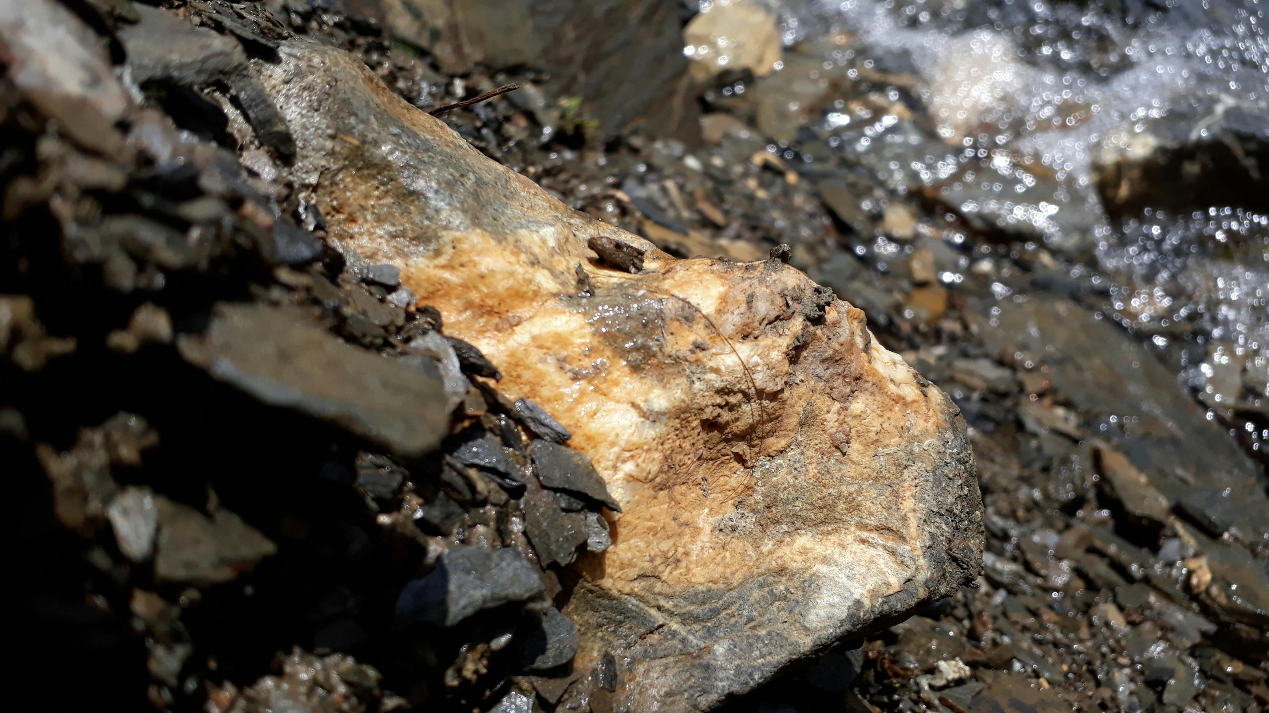 Streamer at a PC setup with colorful lighting and headphones