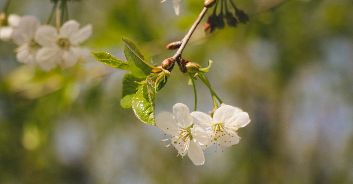 台灣科技大廠面臨下市危機!近4萬張股票成壁紙,投資人嘆眼光差只買8張