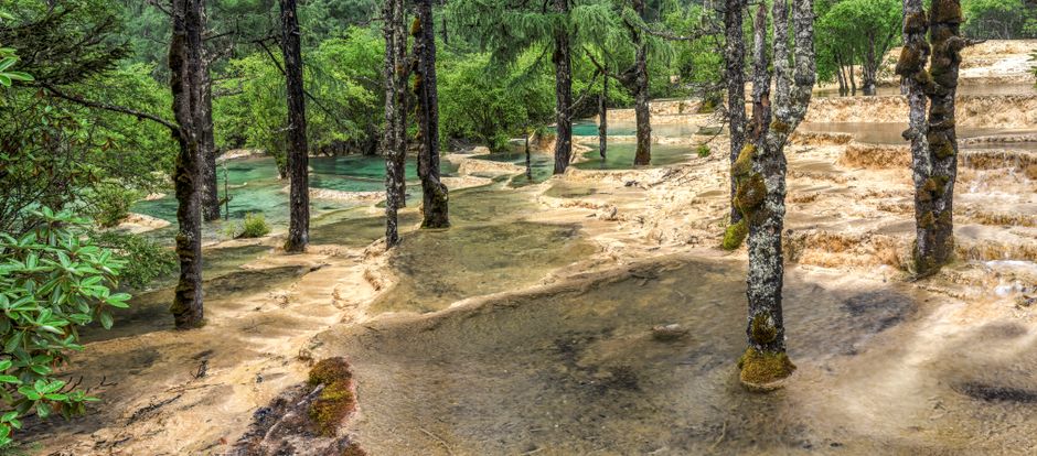 Otra foto de Parque Nacional Mana Pools