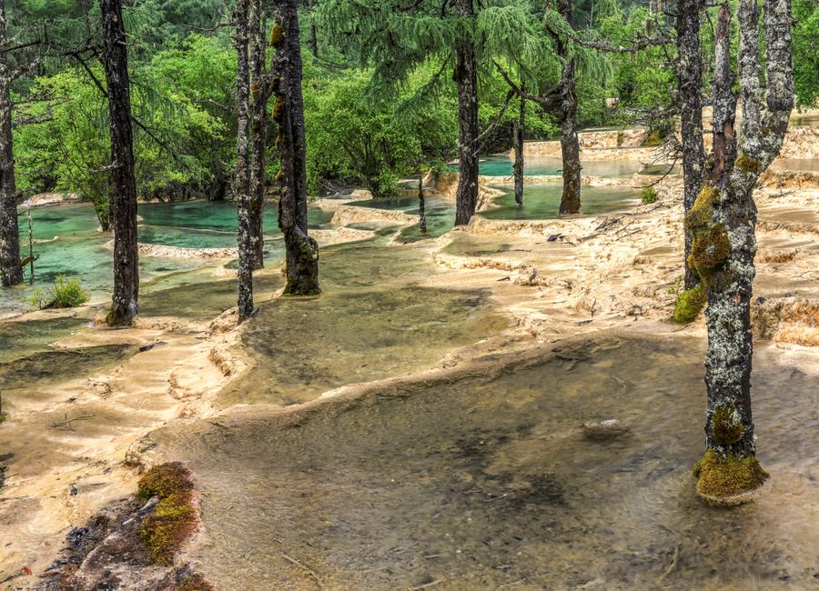 Tranquil forest with cascading waterfalls in Huanglong, China.