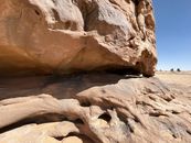 Close-up of a textured sandstone rock formation in a bright desert landscape.