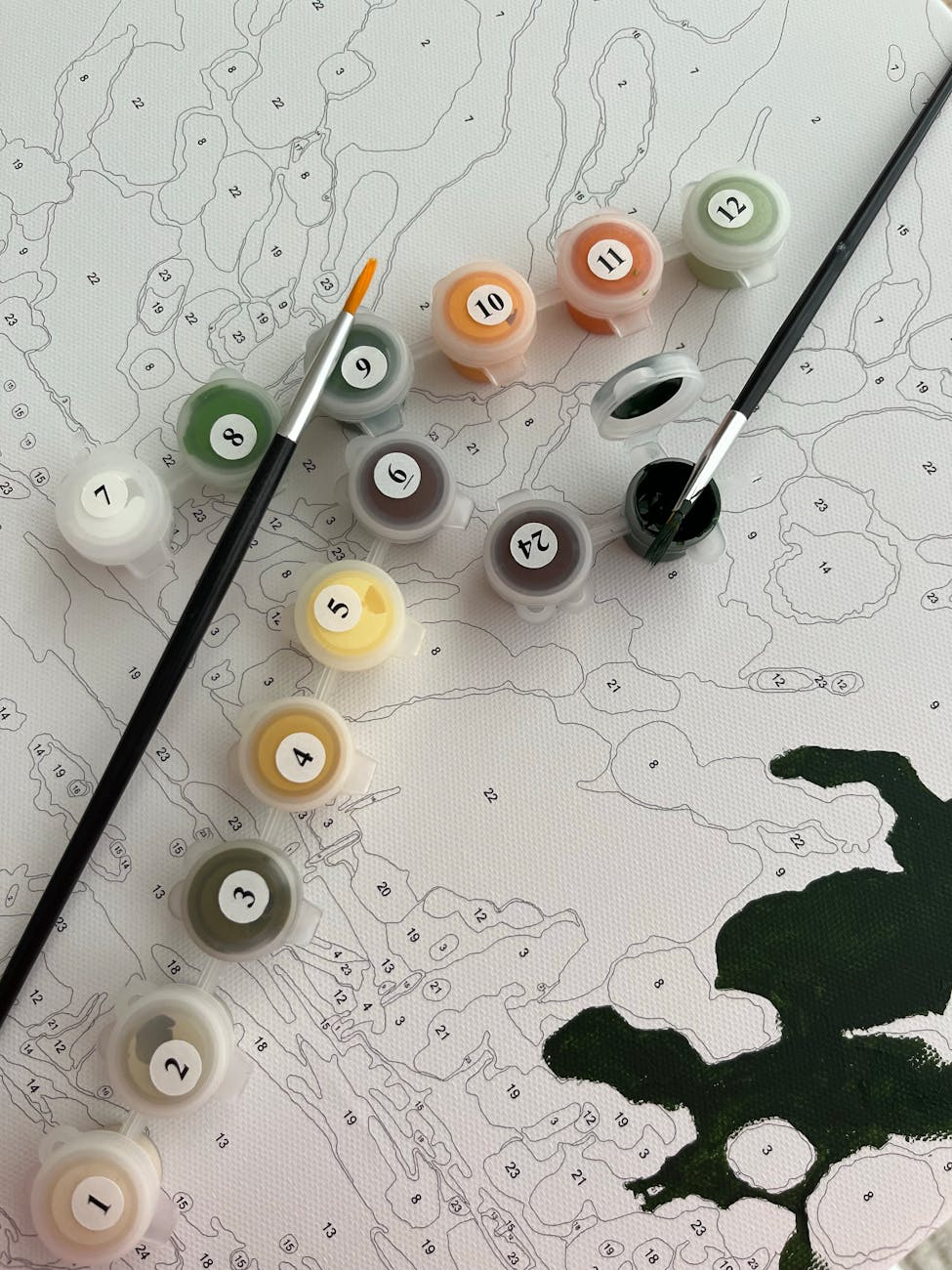 Revitalizing Used Potting Mix: A Step-by-Step Guide to Sterilizing, Amending, and Reusing for Healthy Container Plants