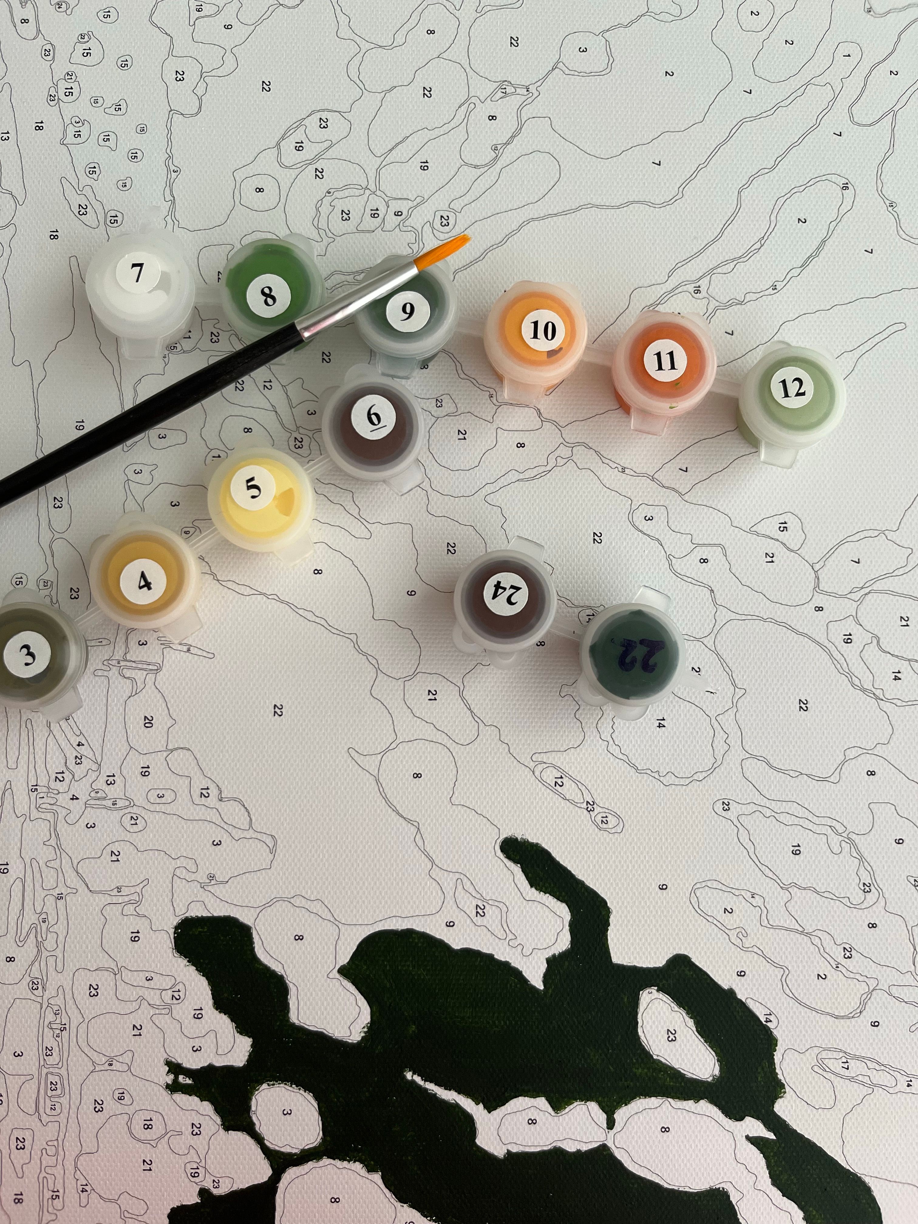 A paint-by-numbers set featuring paints and a brush laid on a detailed canvas.