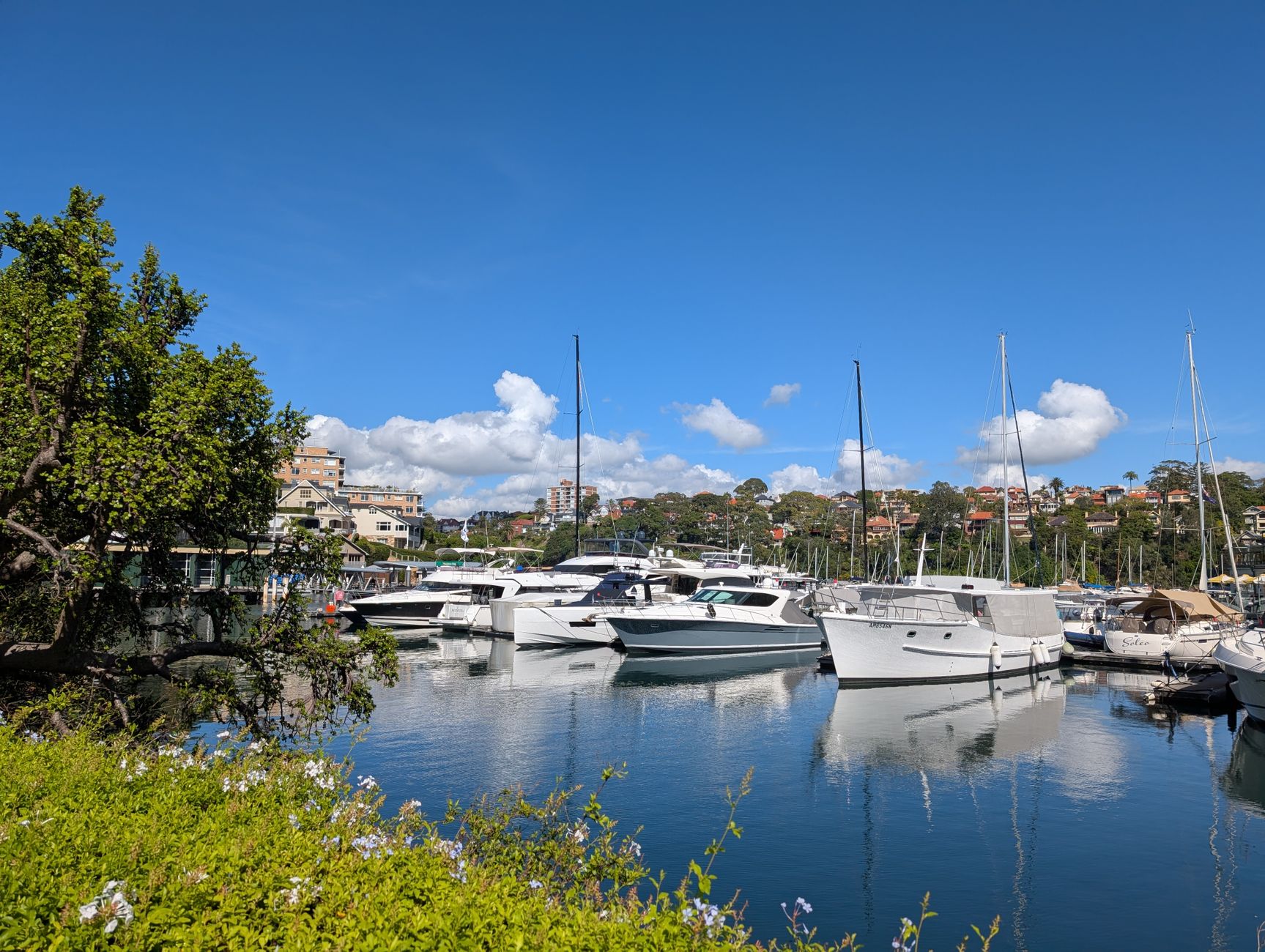 From Sydney Harbor to Global Hubs: The Jet-Set Itinerary — SponsorClub