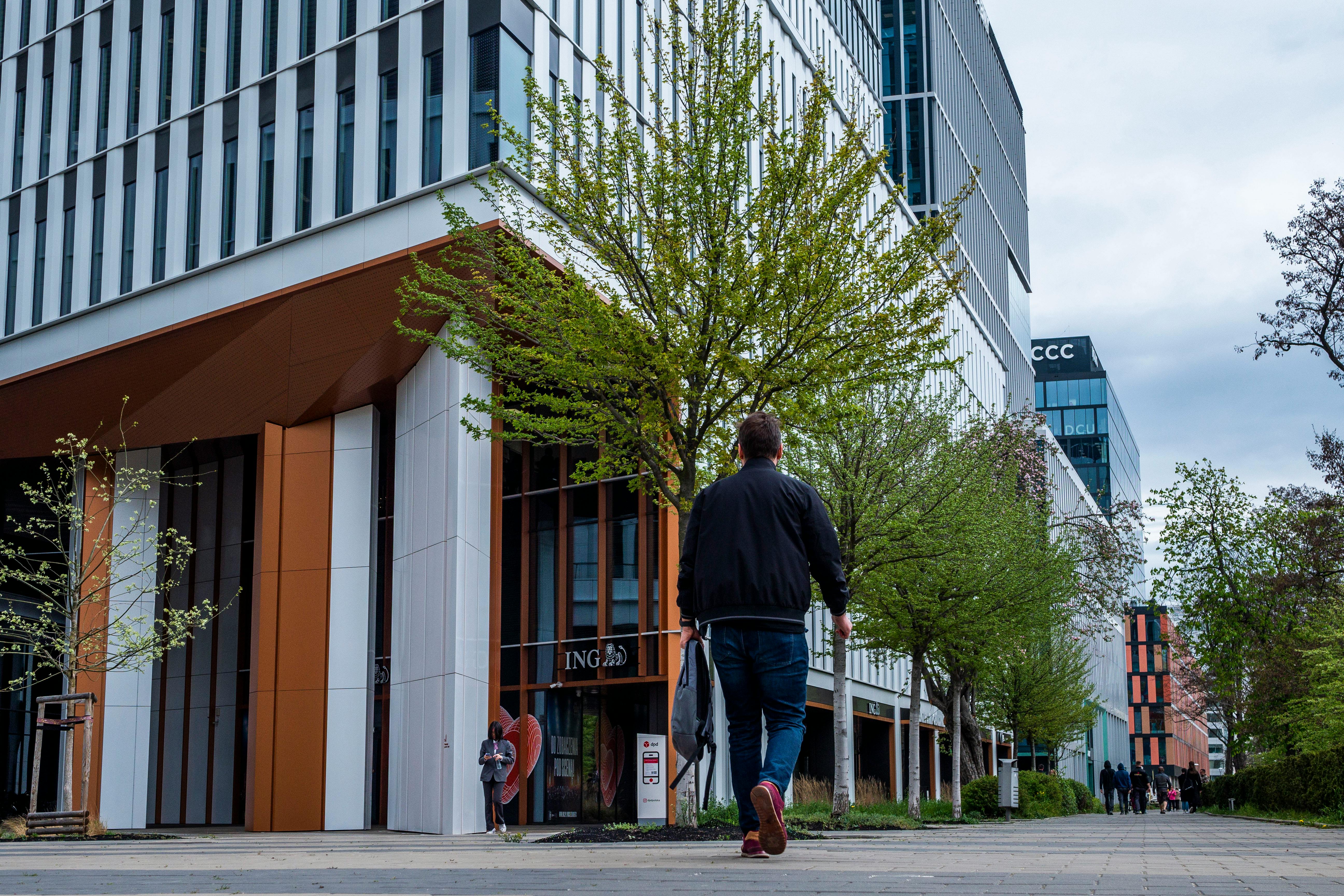UNH’s Business School Launches Two New Online Graduate Certificates — Photo by SHOX ART on Pexels