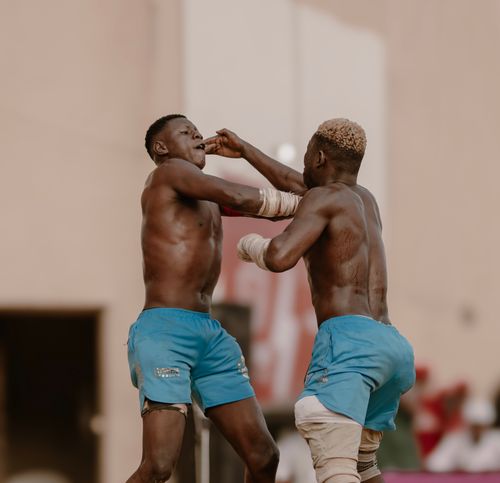 Free traditional boxing  Stock Photo