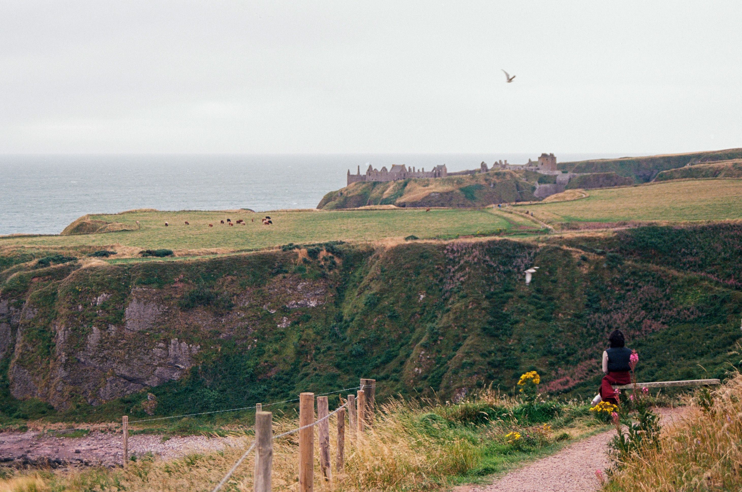 A picturesque view of Dunnottar Castle on Scotland's cliffs with lush greenery and ocean backdrop. - Aberdeen
