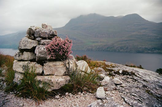 Stone cairn with blooming heather by a loch in the Scottish Highlands under cloudy skies.