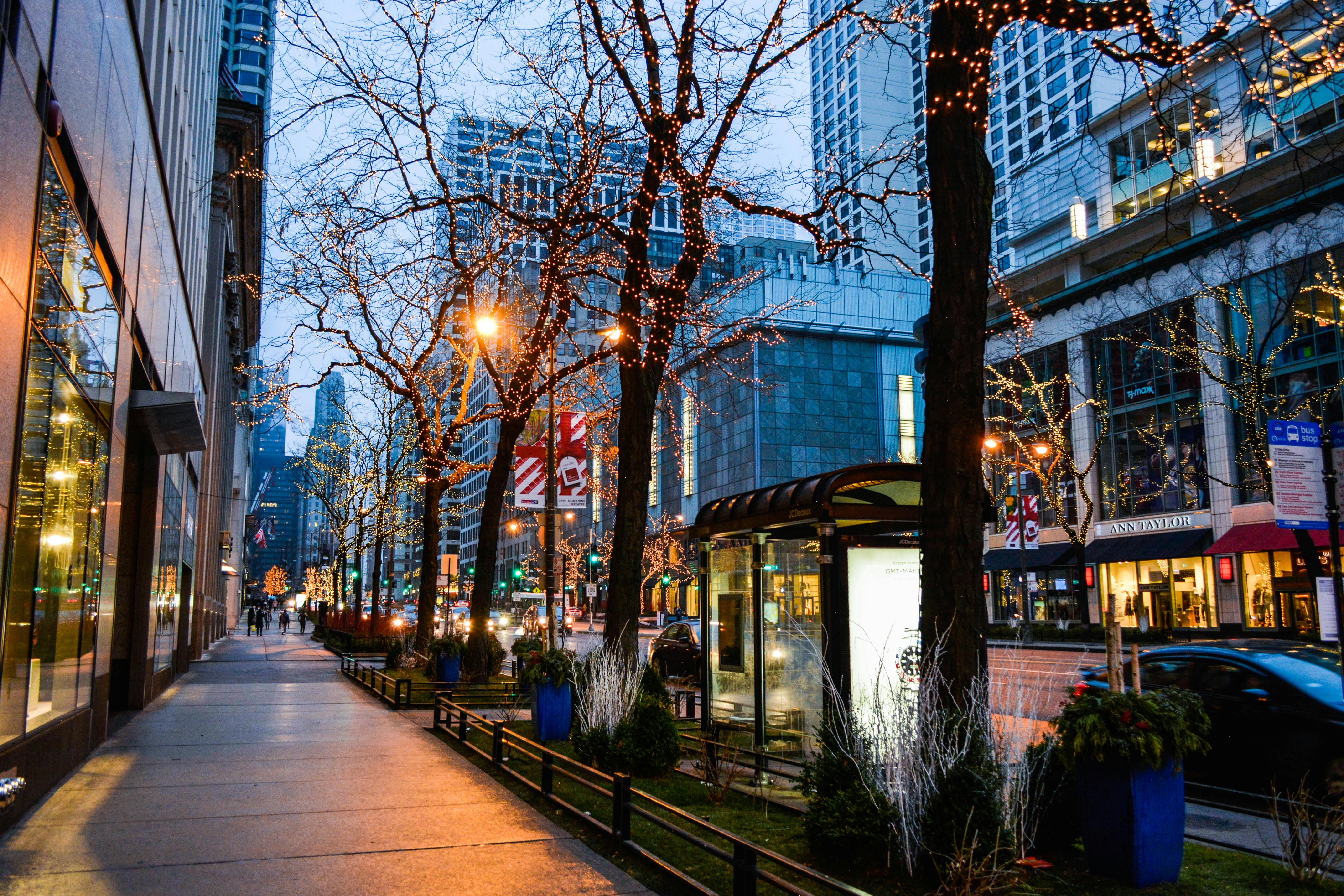 شركات التأجير