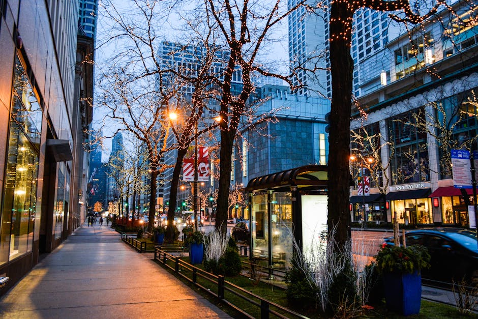 شركات التأجير