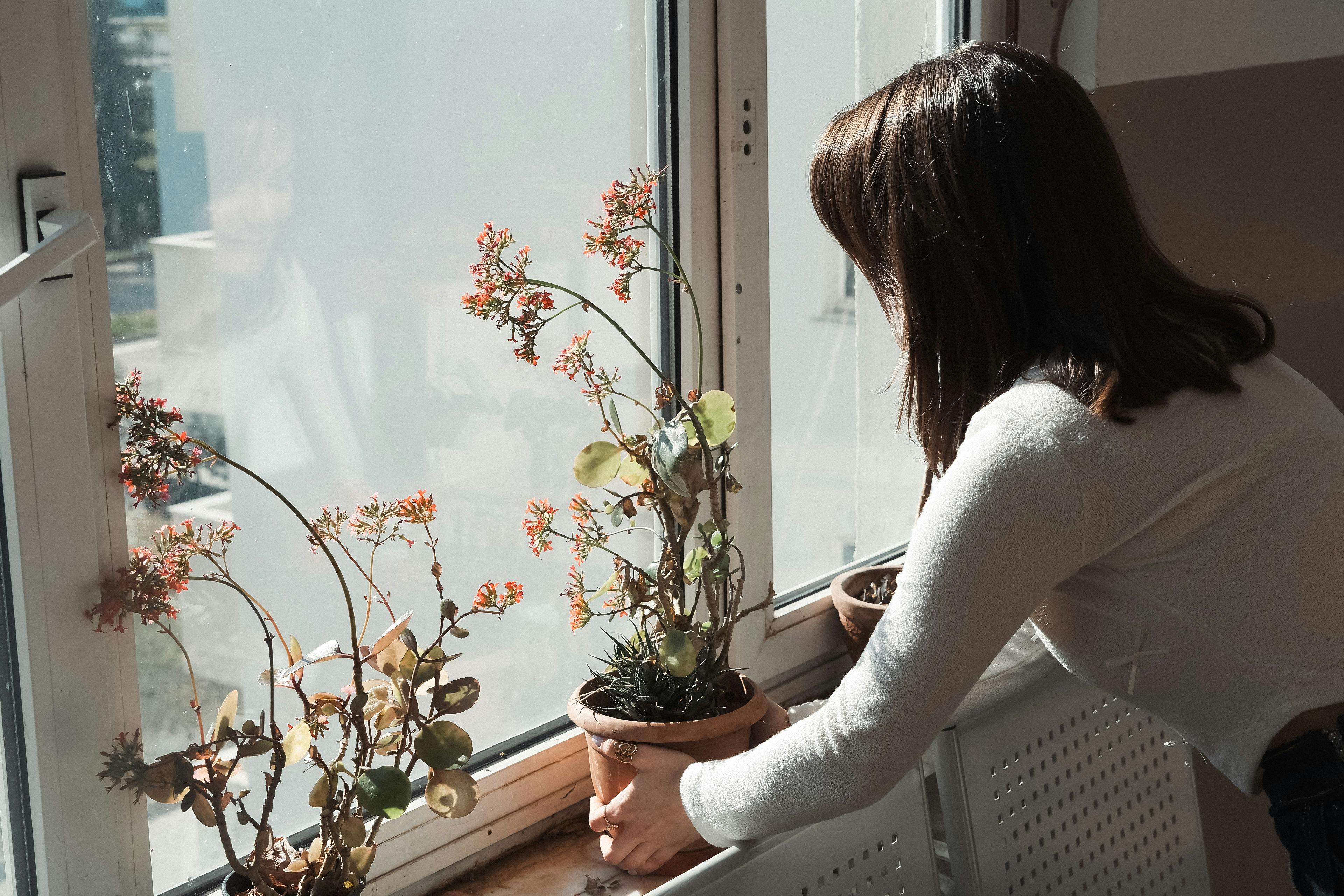 Life Science, Space Gardening Top Thursday’s Research Schedule — Photo by Samet Burak Dağlıoğlu on Pexels