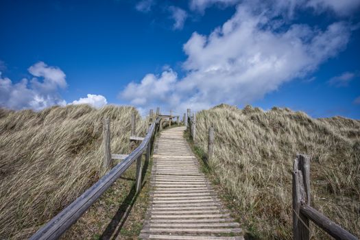 beach walkway dunes