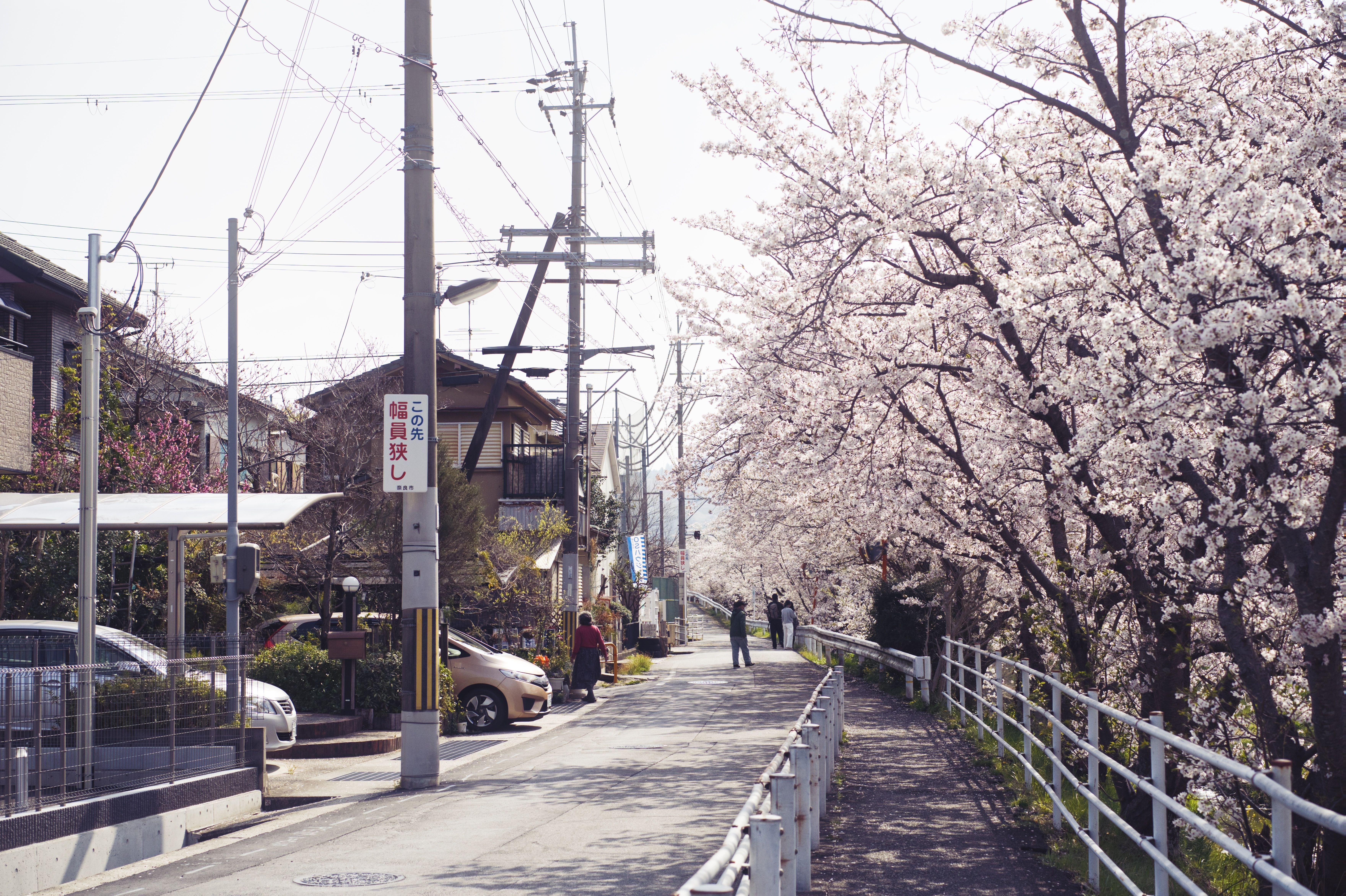 travel image