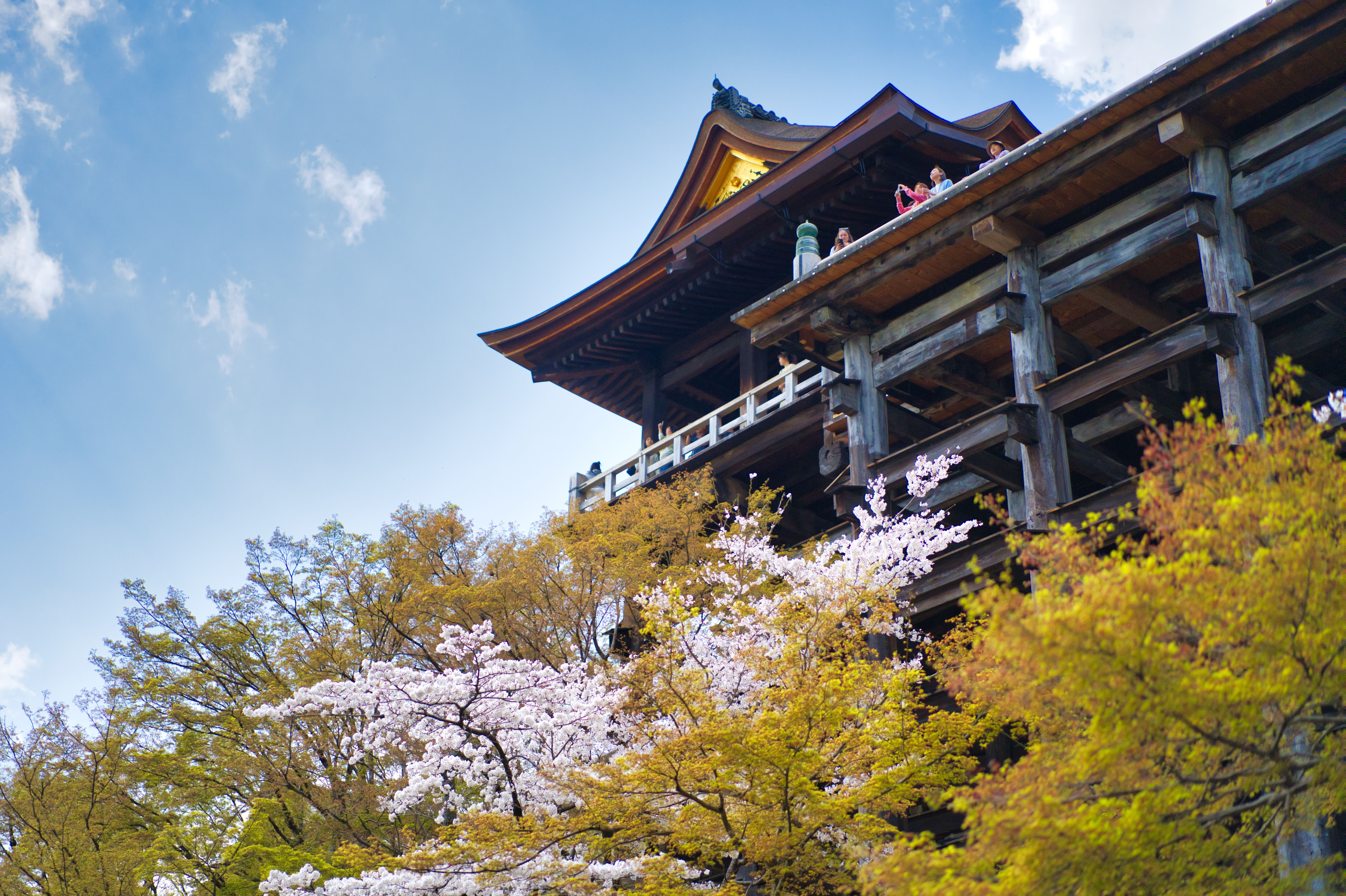 iconic view of Kiyomizu-dera temple in Kyoto with cherry blossoms or autumn foliage