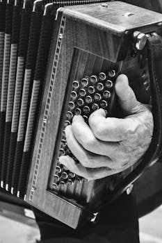 特写镜头中，一位长者正拉着手风琴，展现出对音乐的热情